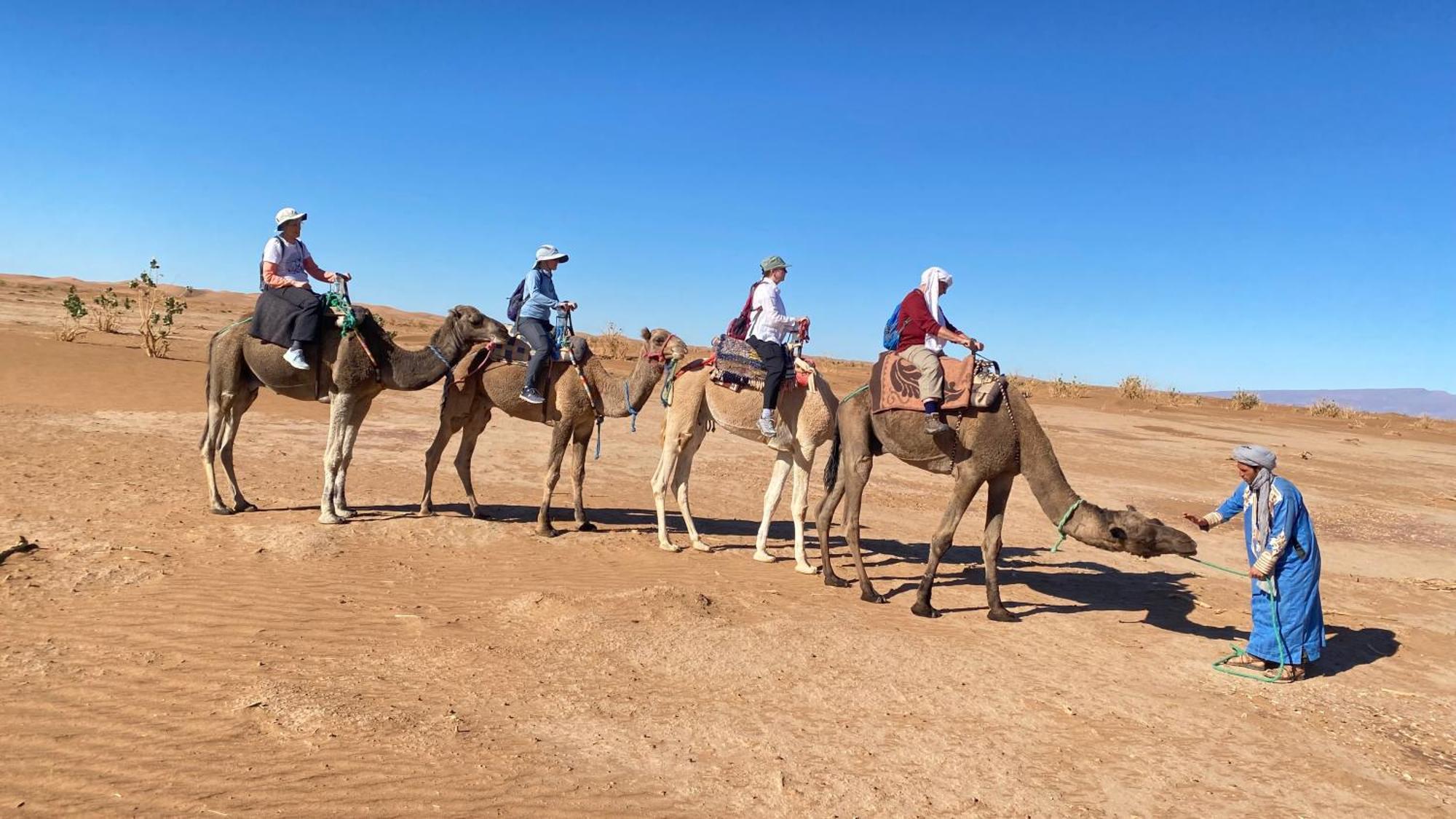 Atta Desert Camp El Gouera Екстериор снимка