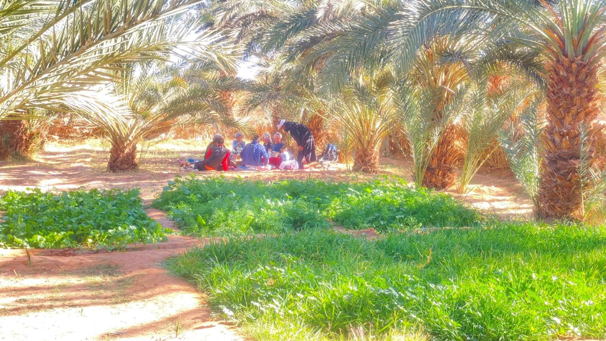 Atta Desert Camp El Gouera Екстериор снимка