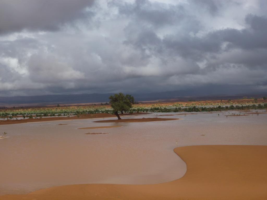Atta Desert Camp El Gouera Екстериор снимка