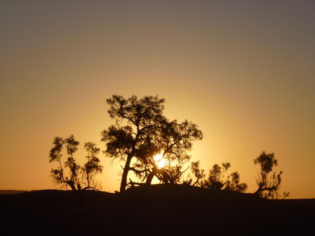 Atta Desert Camp El Gouera Екстериор снимка