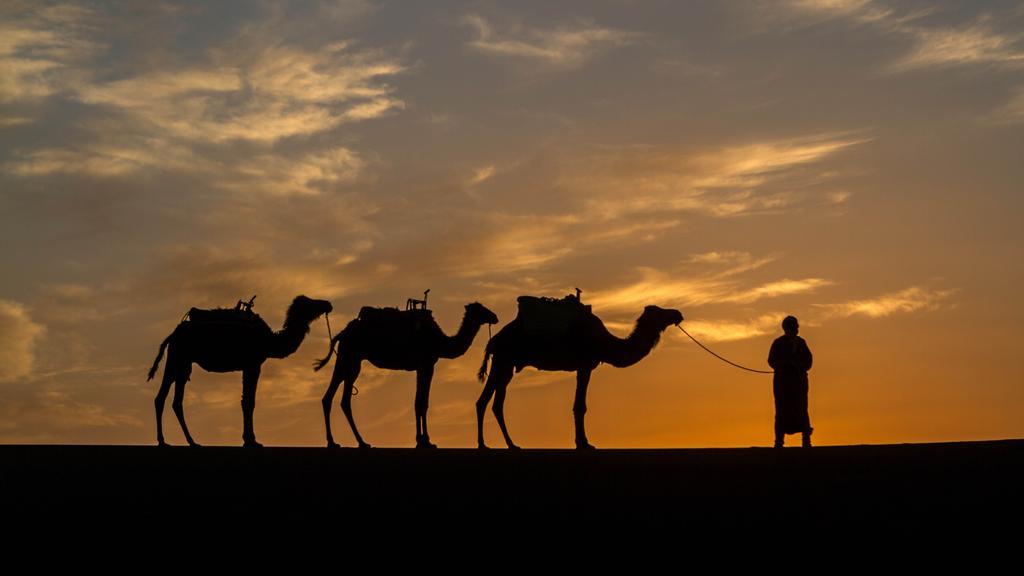 Atta Desert Camp El Gouera Екстериор снимка